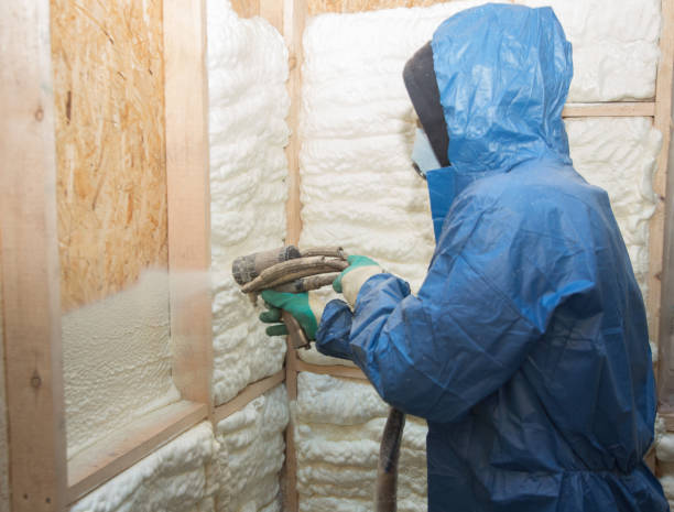 Eco-Friendly or Green Insulation Solutions in Arlington Heights, WA